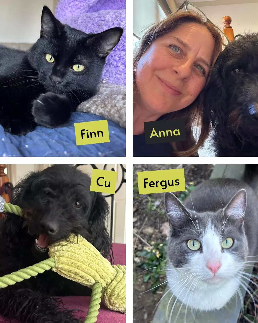 L&L Orthodontics - Instagram