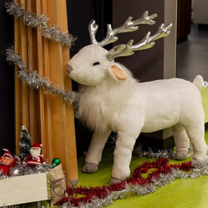 L&L Orthodontics - Instagram