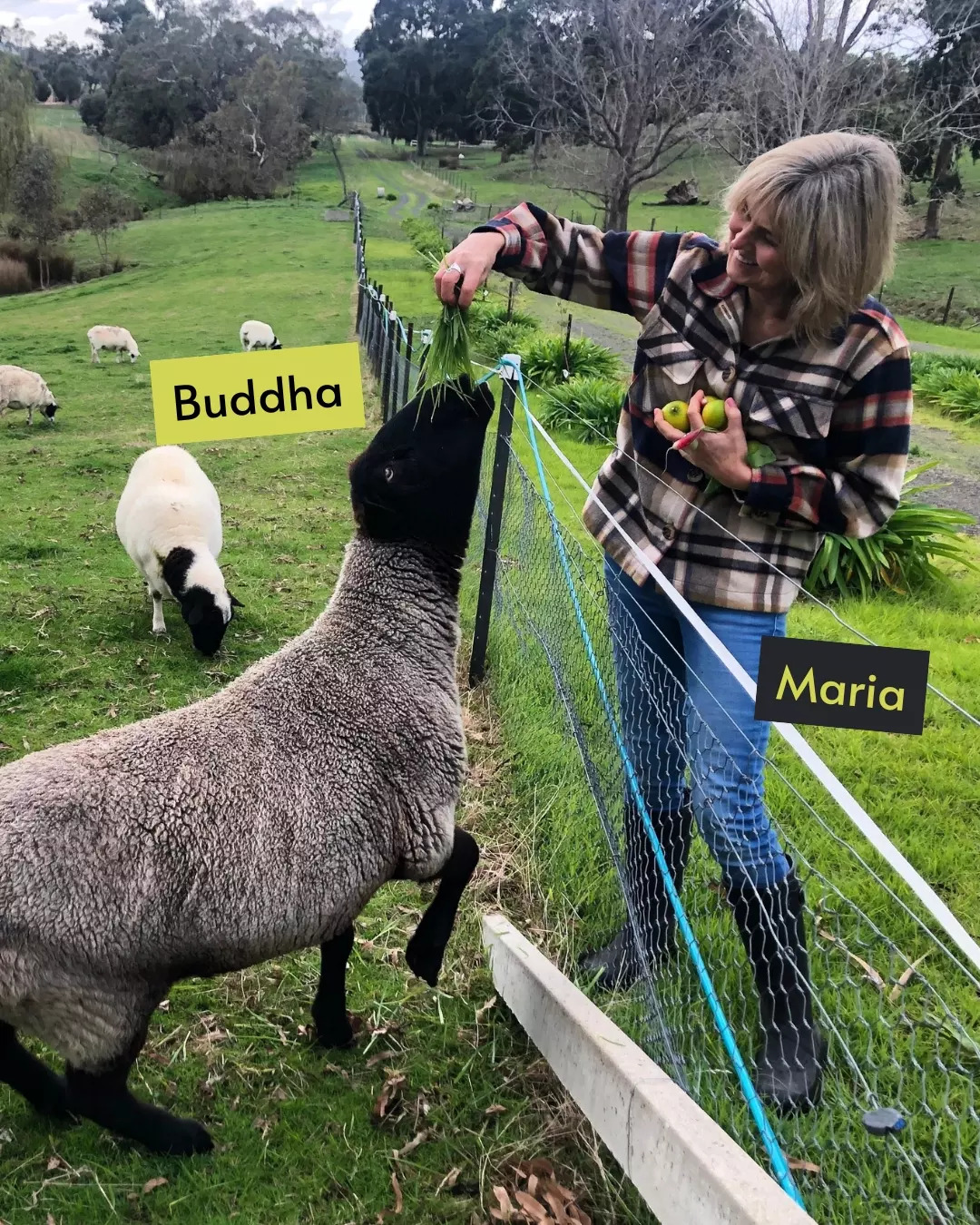 L&L Orthodontics - Instagram